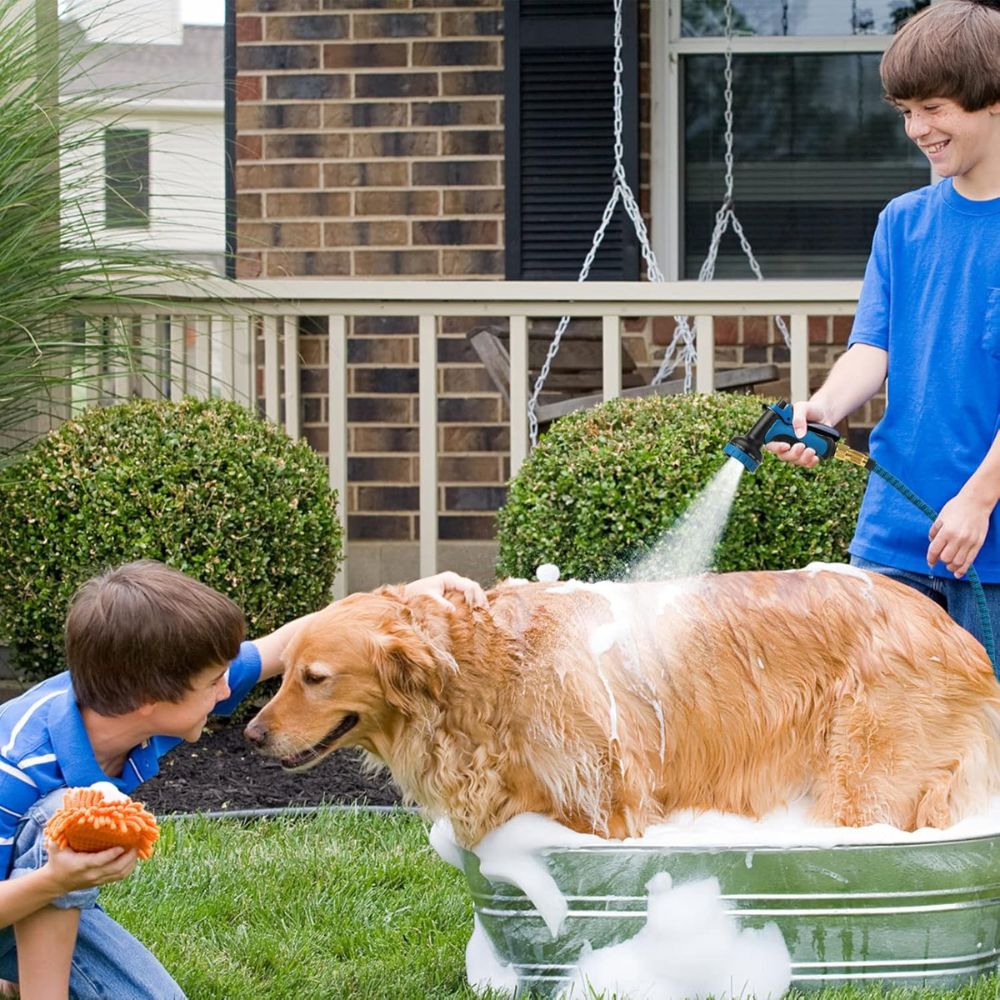 2025 50Ft/100Ft Expandable Garden Water Hose