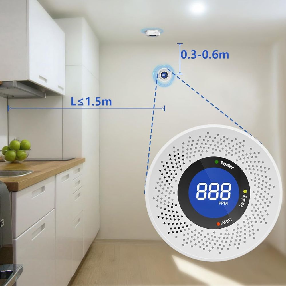 Carbon Monoxide Detector CO Smoke Monitor Alarm