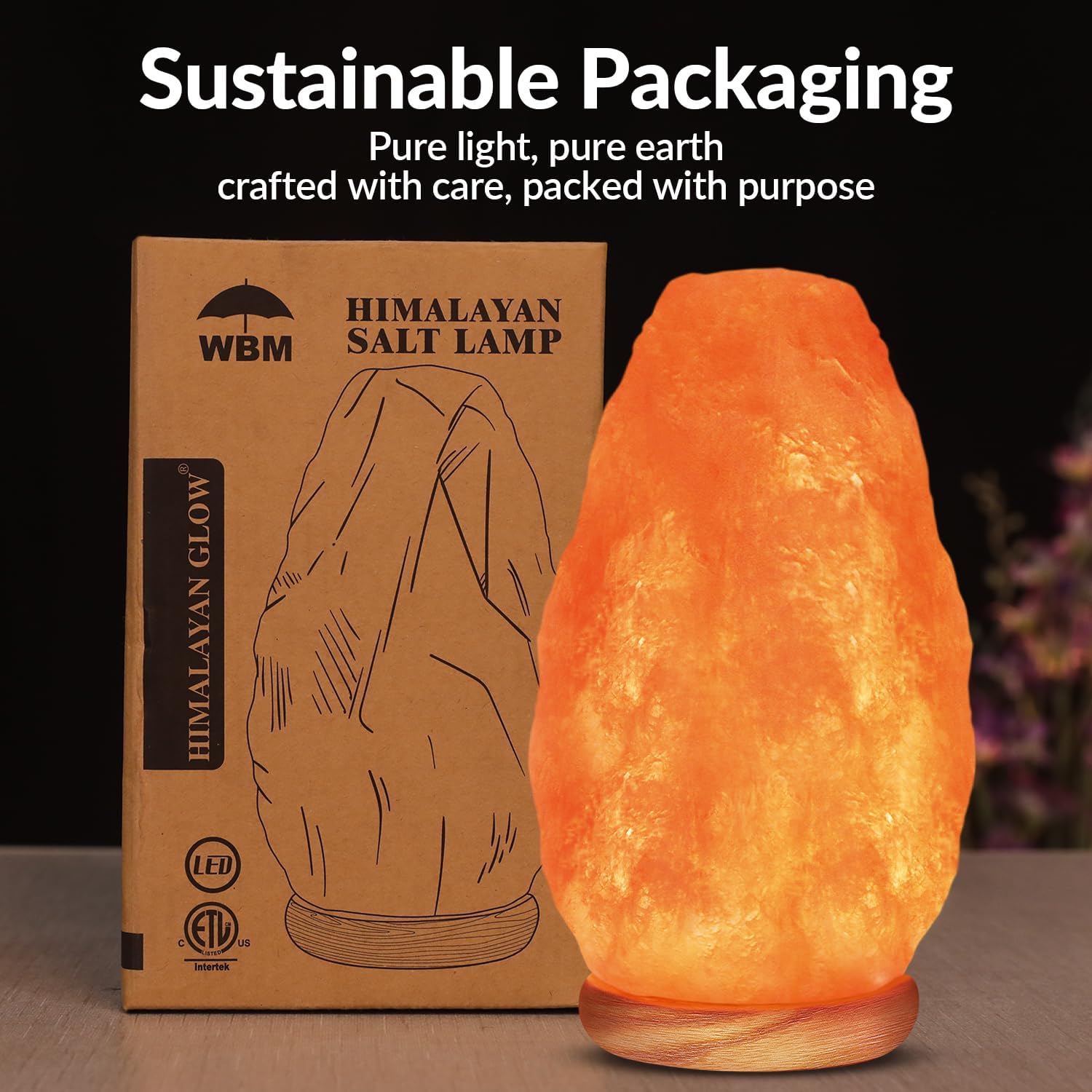 Himalayan Salt Lamp 2