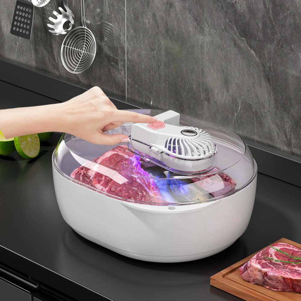 6-in-1 Ultrasonic Meat Thawer Food Defrosting Machine
