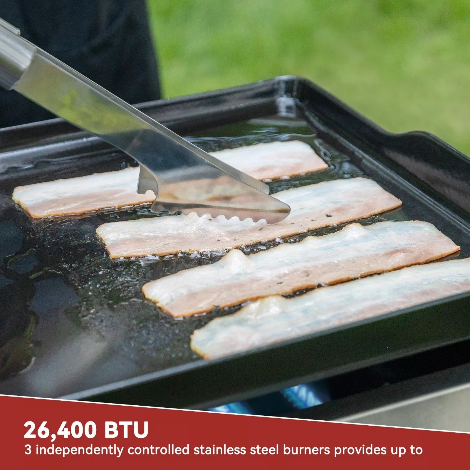 Portable Tabletop Gas Grill