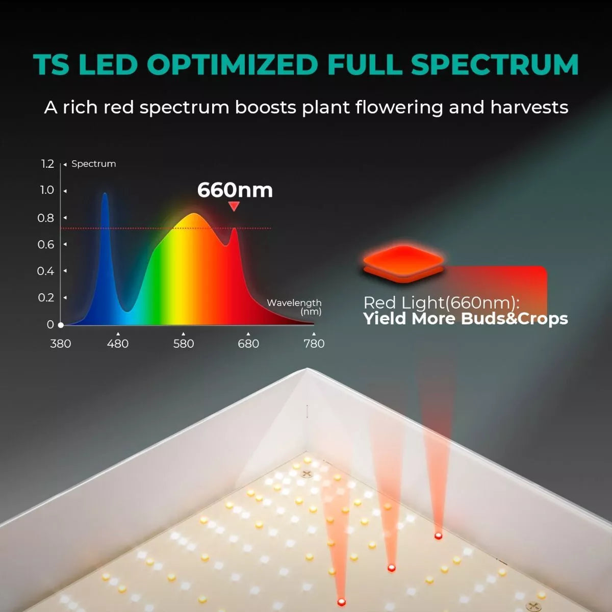 Full Spectrum Led Grow Lights For Indoor Plants
