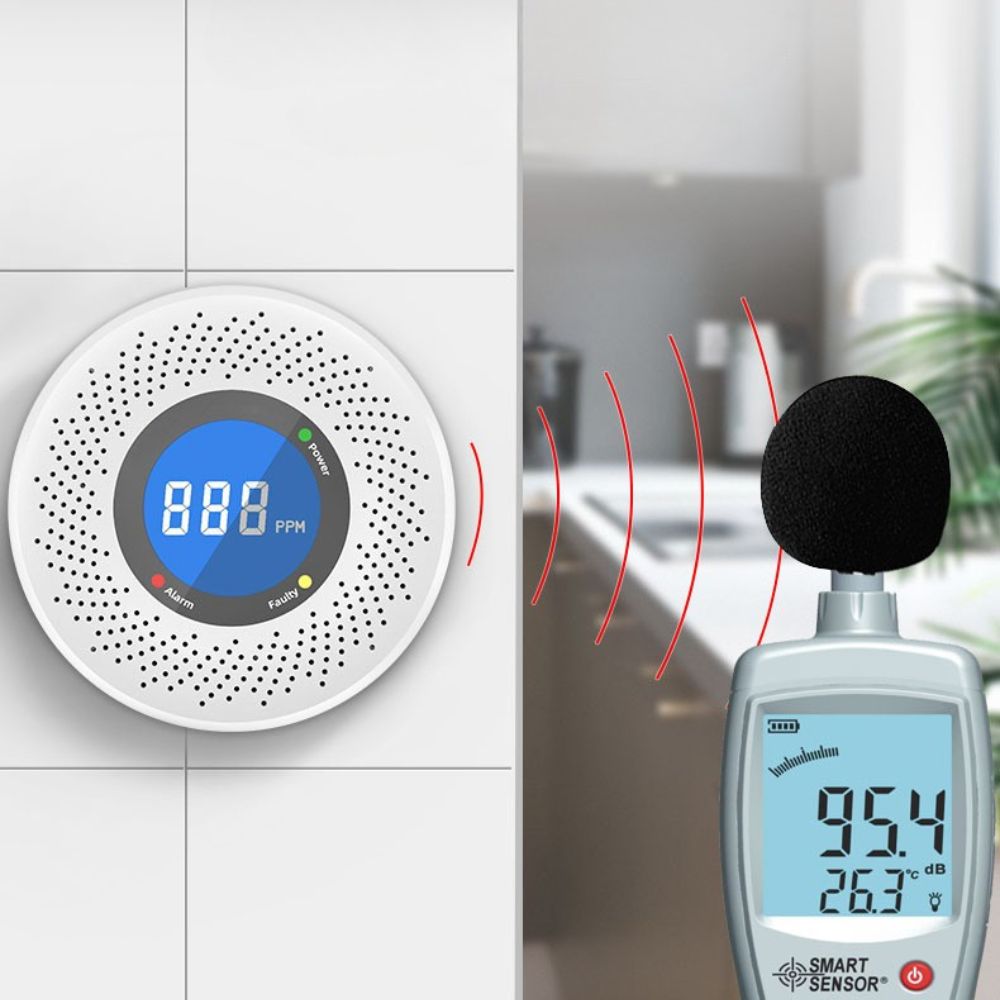 Carbon Monoxide Detector CO Smoke Monitor Alarm