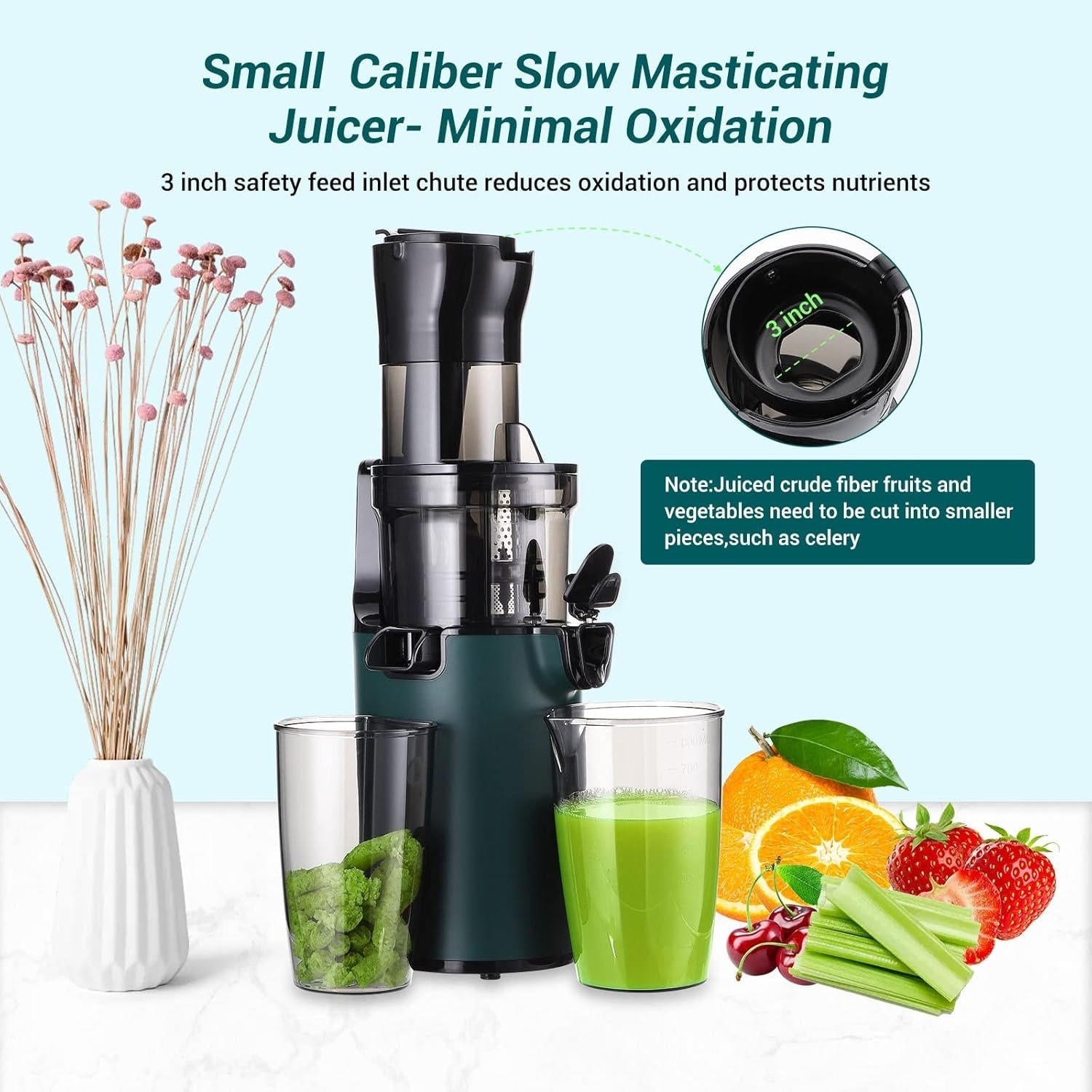 Cold Press Juicer Machine