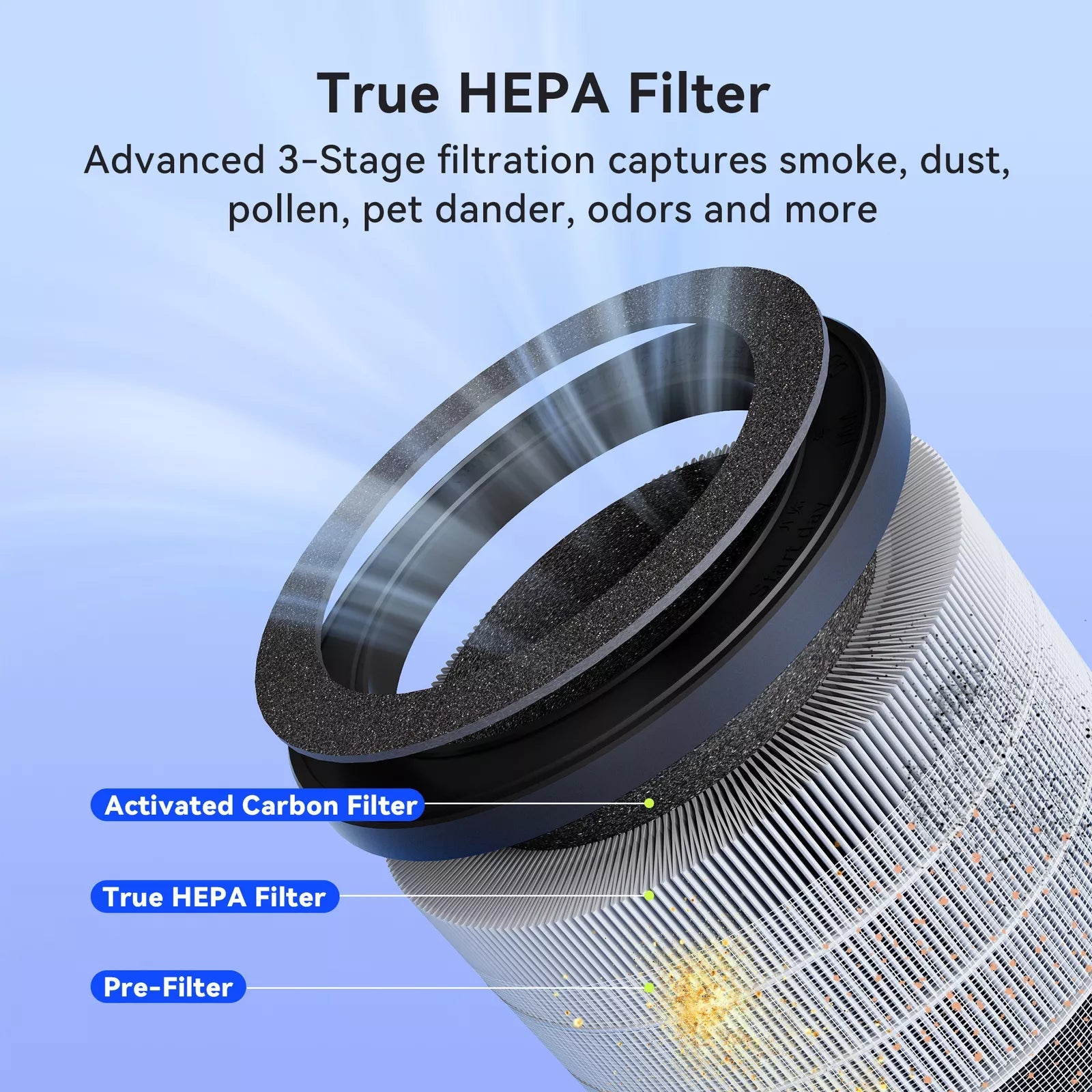 Home Air Purifier