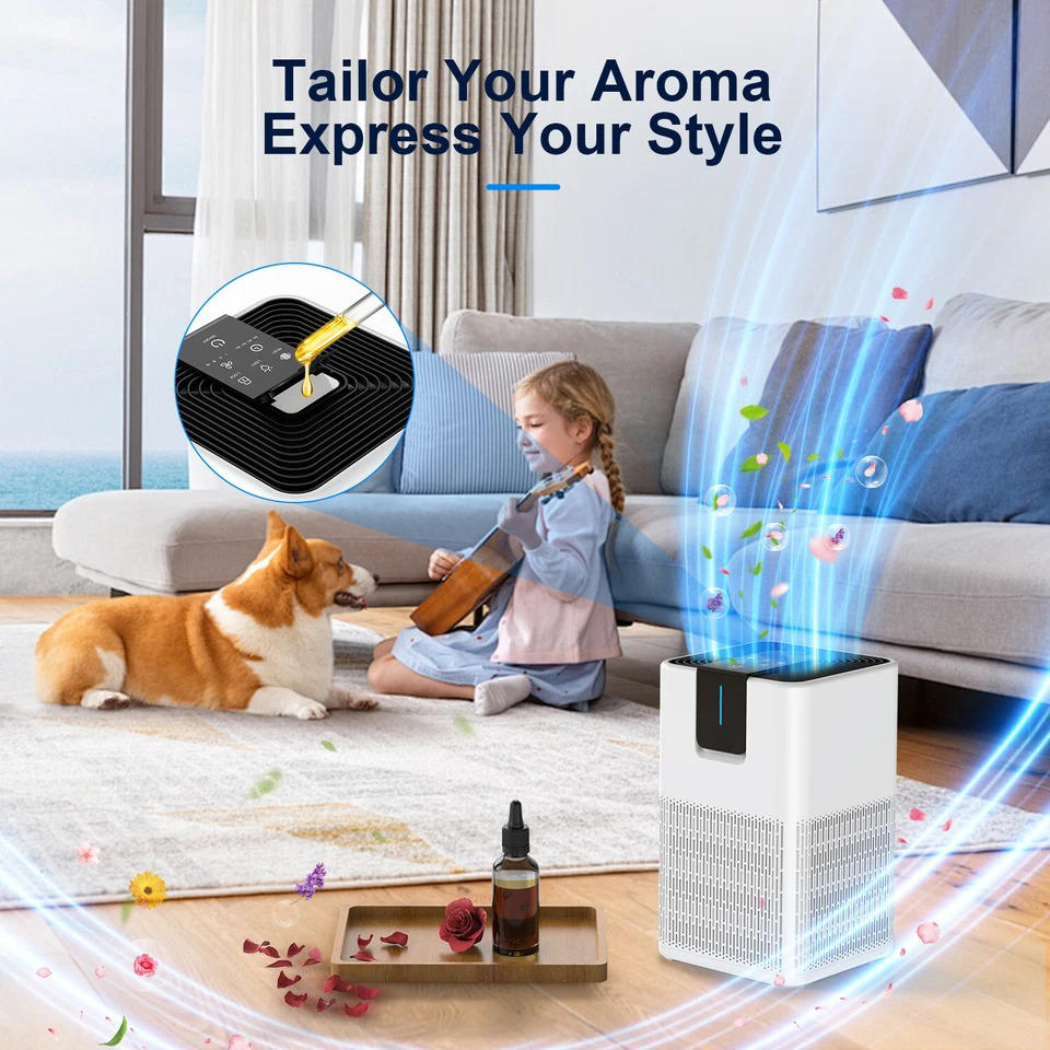 Large Room Air Purifier
