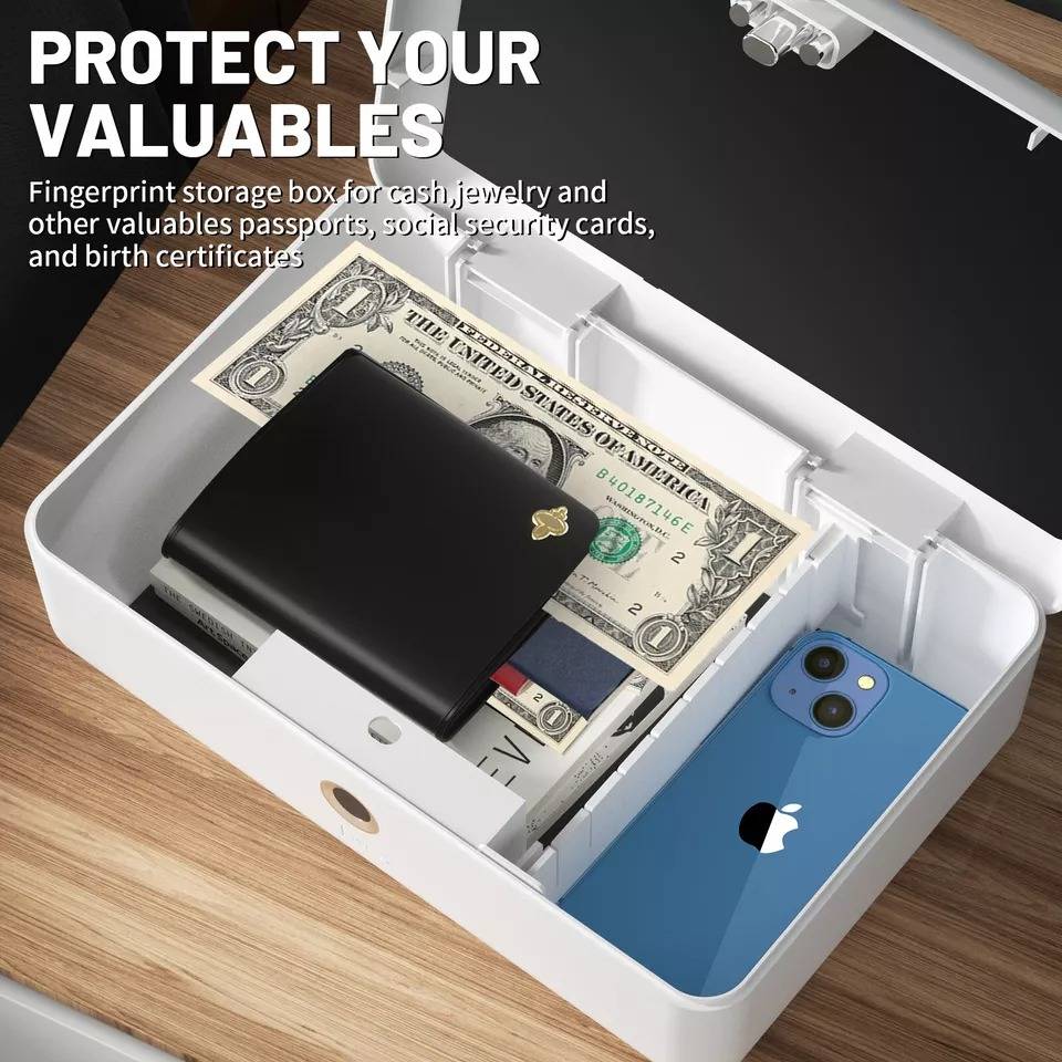 Fingerprint Safe